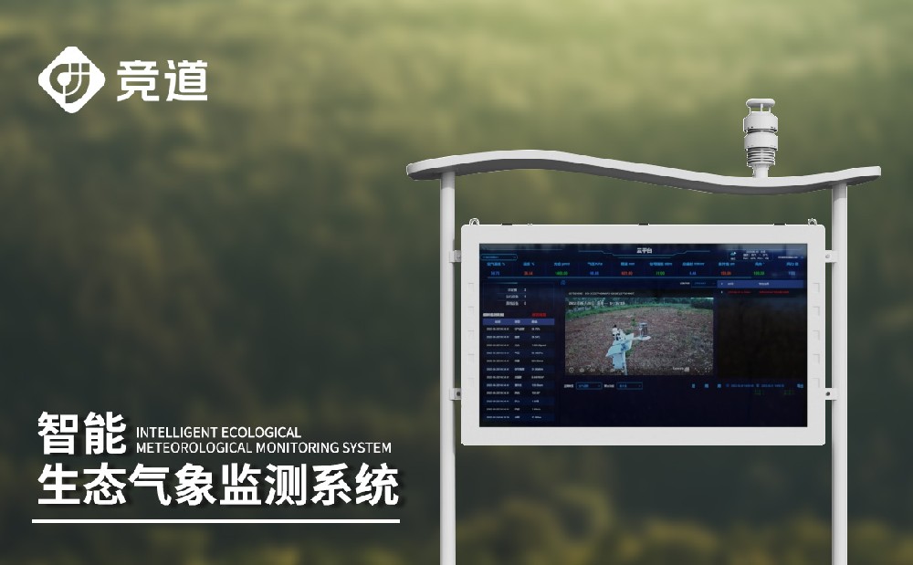 大氣負離子監測系統