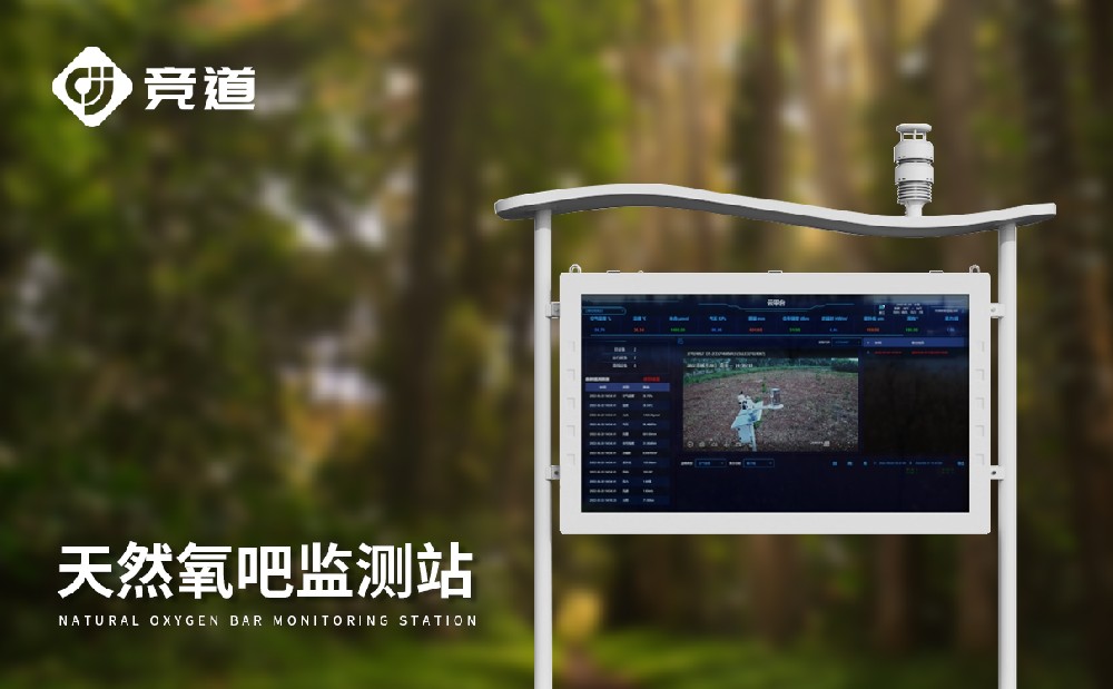 高智能負(fù)氧離子監(jiān)測站